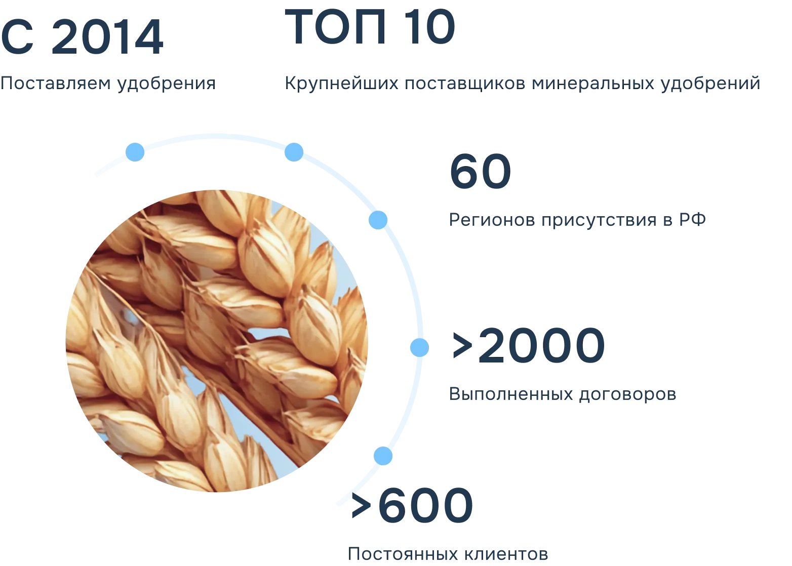 Описание изображения