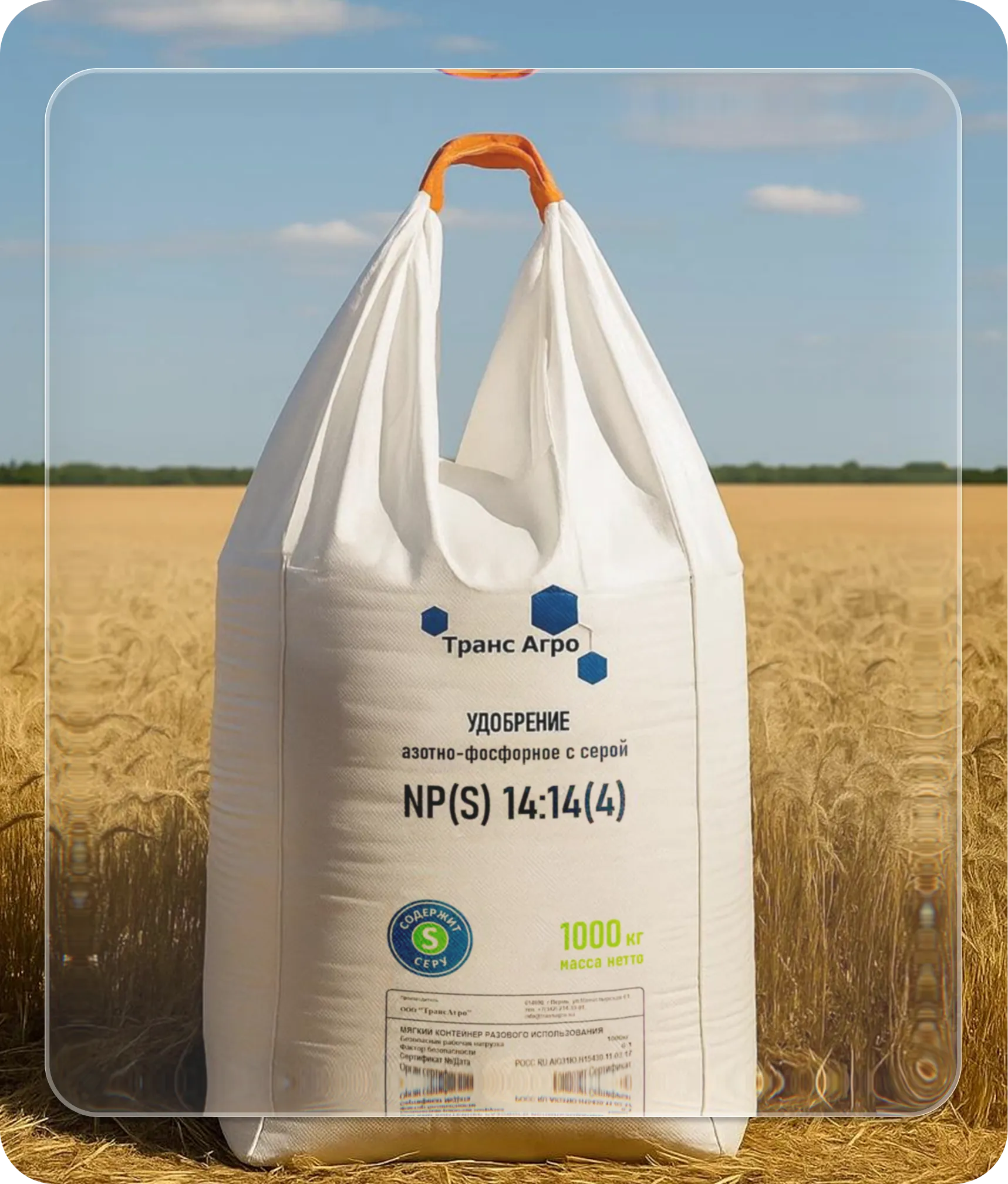 Описание изображения